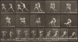 Eadweard Muybridge
