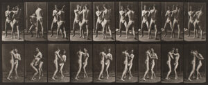 Eadweard Muybridge males
