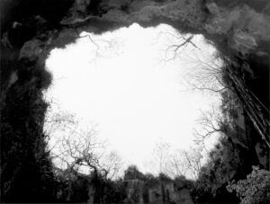 Sally Gall The Source