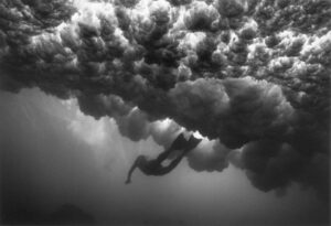 Wayne Levin The Source