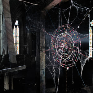 Simen Johan Breeding Ground