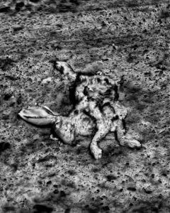 Matt Black New World Atlas