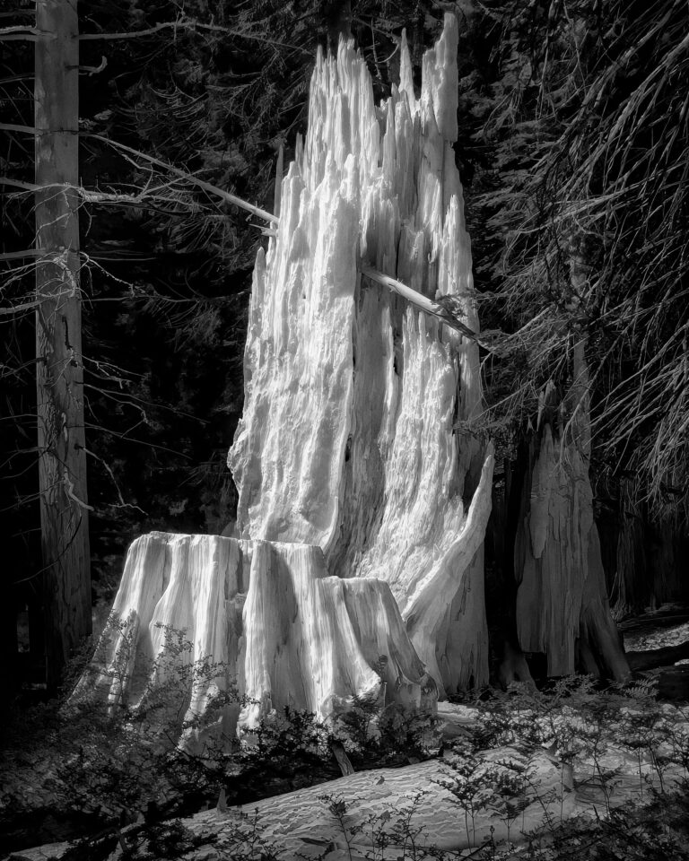 Matt Black New World Atlas California and Nevada Matt Black Pollock-Krasner Grant