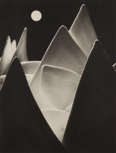 Eugen Wiskovsky Surrealism in Photography: 1920s - 1980s