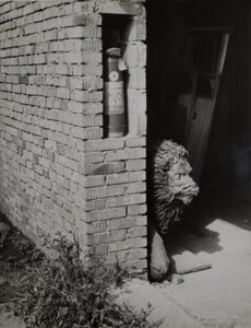 Vilém Reichmann Surrealism in Photography: 1920s - 1980s