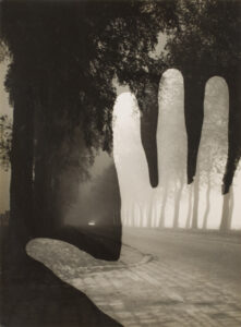 Geza Vandor Surrealism in Photography: 1920s - 1980s