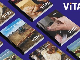 Vital Concept catalogue