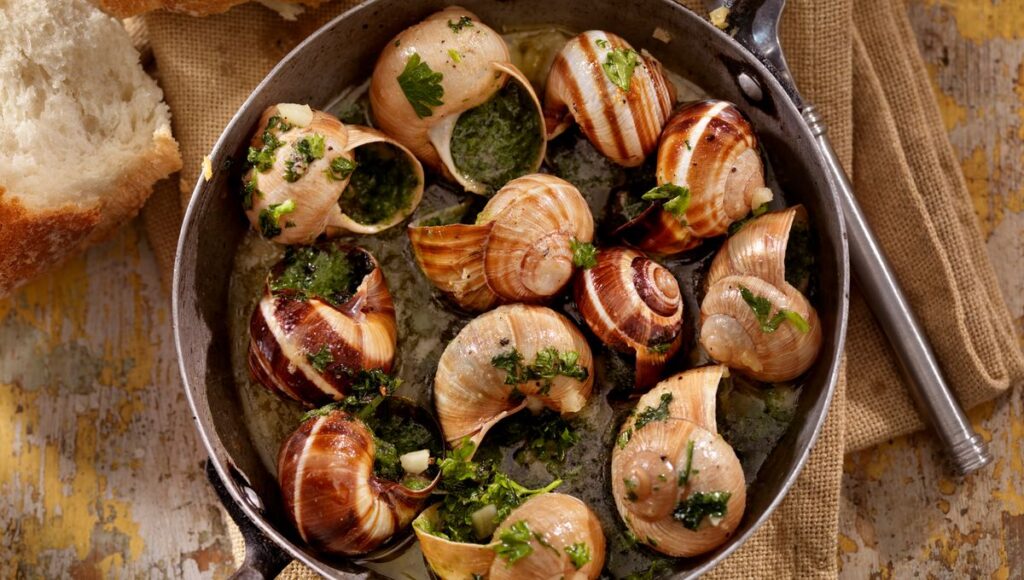 cuisson escargot au four