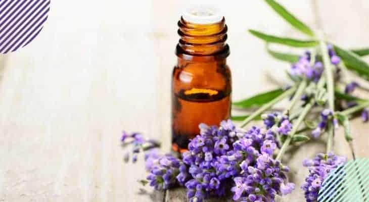 dangers of essential oil diffusers