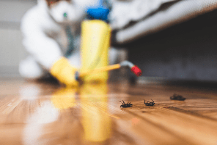 calling pest control professional