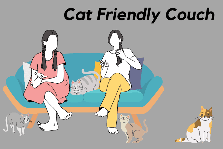 cat friendly couch