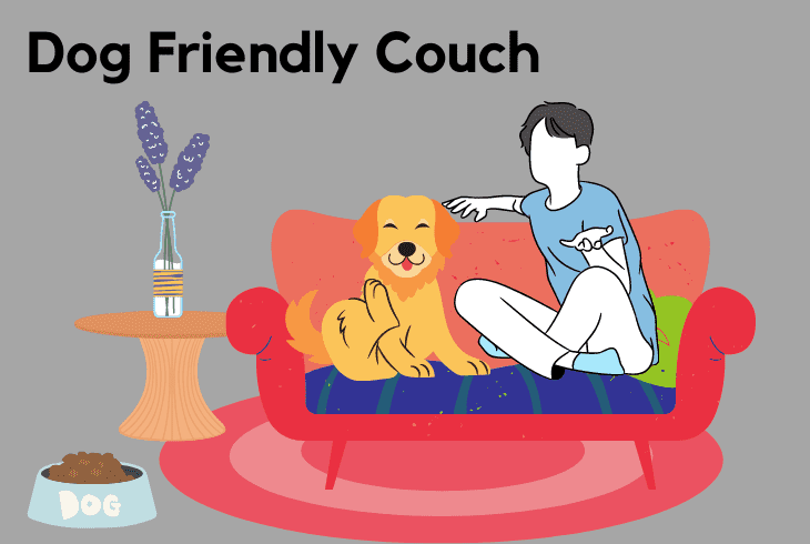 dog friendly couch