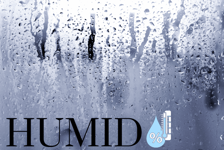 the house is humid