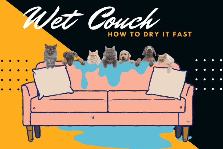how to dry a couch fast