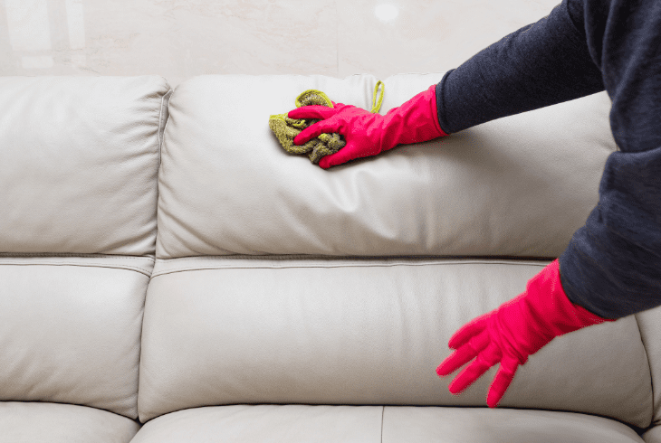 couch gets ruined