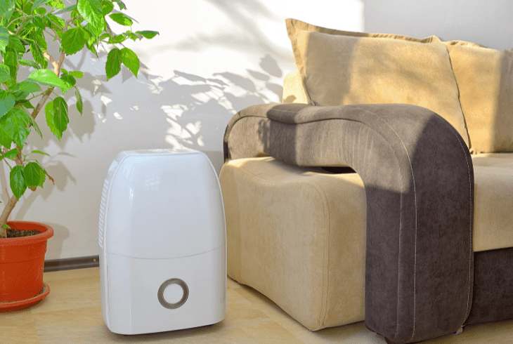 the dehumidifier