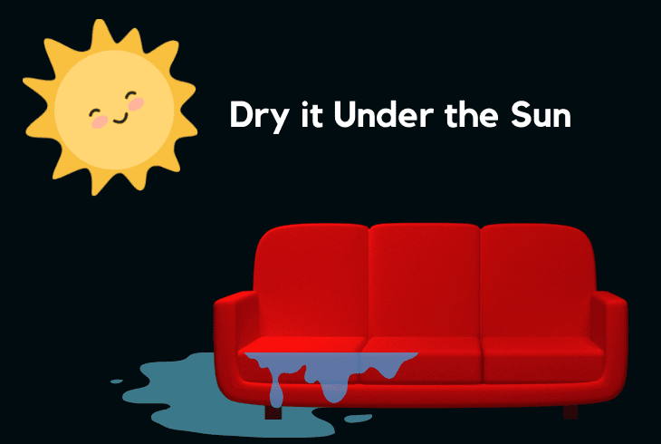 dry under the sunlight