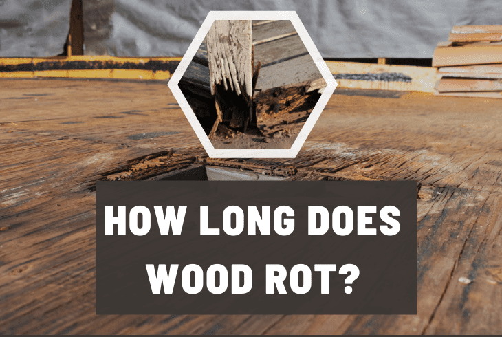 how long does it take for wood to rot from water