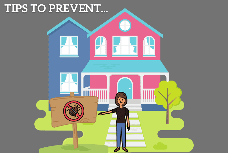 tips to prevent beetles