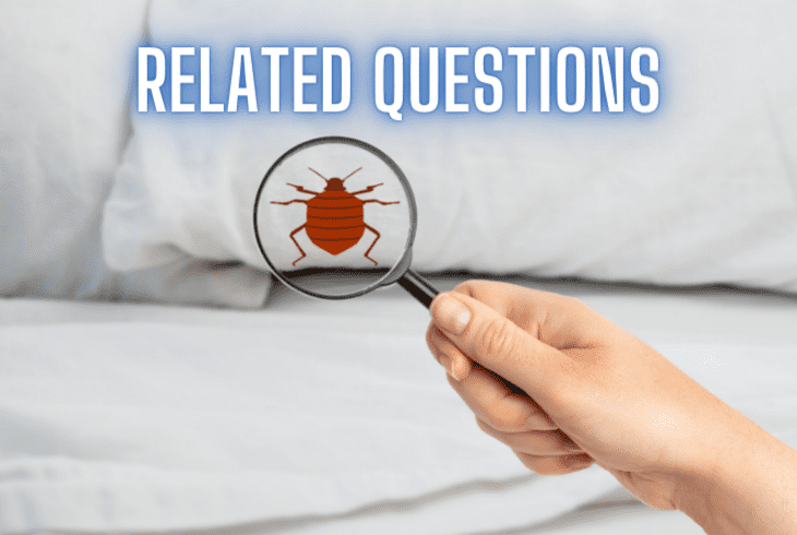related questions about bed bugs