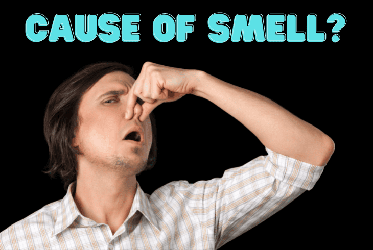 the cause of smell