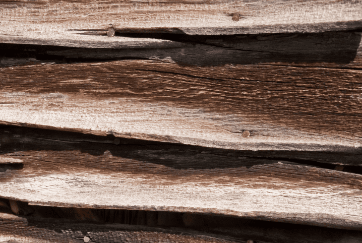 warping of wood