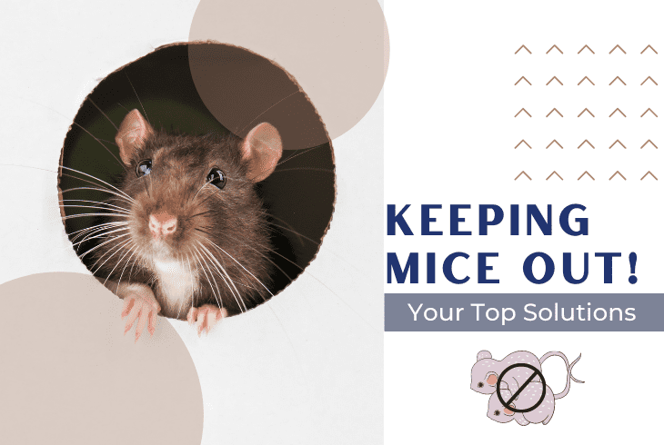 how to keep mice out of furniture in storage