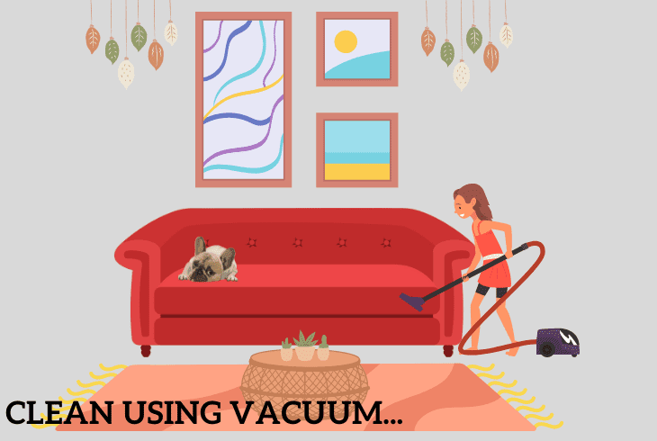 clean using a vacuum