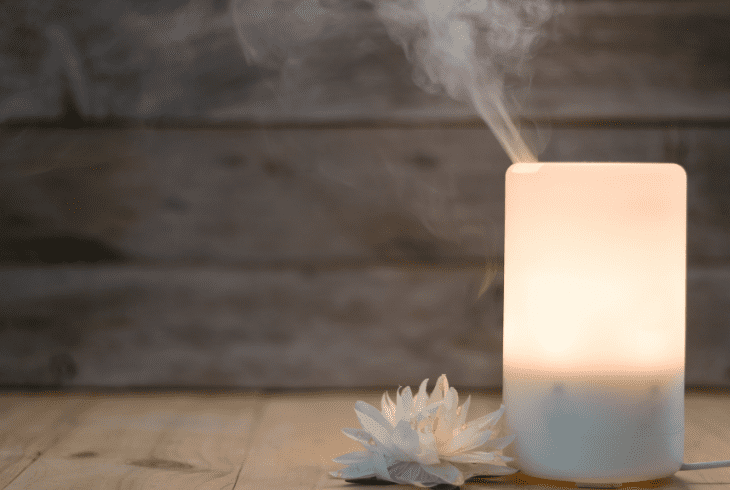 the humidifier
