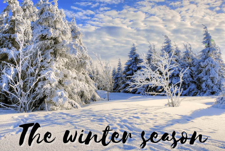 winter season