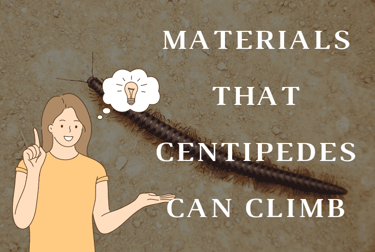 materials can centipedes climb on