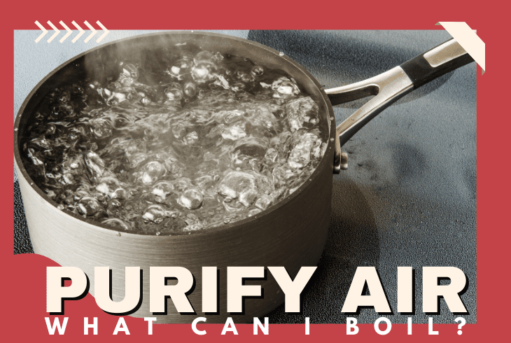 what can you boil to purify air