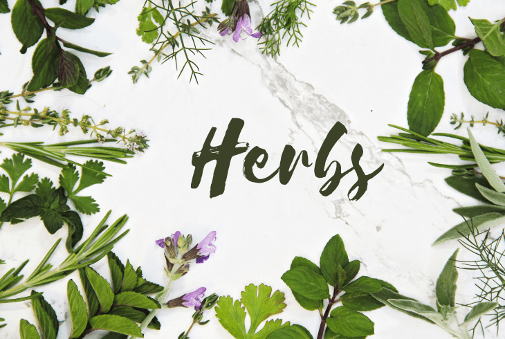 boil herbs