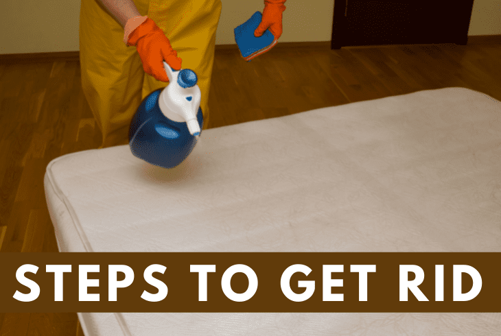 steps to get rid puke smell