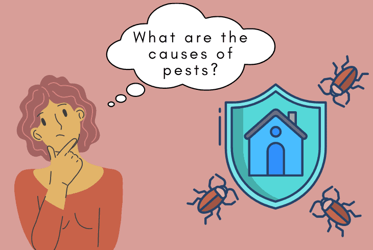 household pests