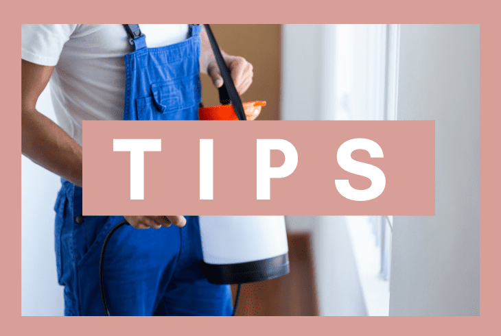 tips on a pest control