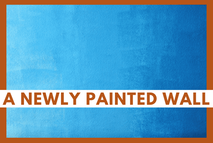 a newly painted wall