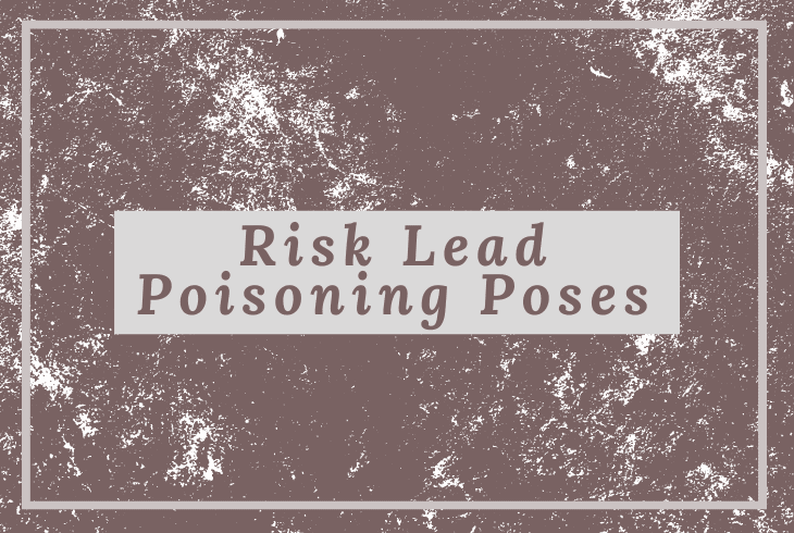 risk lead poisoning