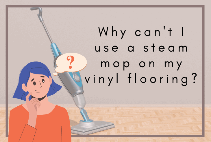 why not use steam mop
