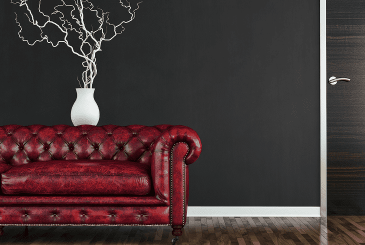 the leather sofa