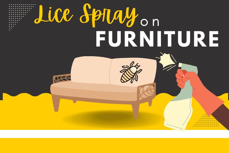 what to spray on furniture for lice