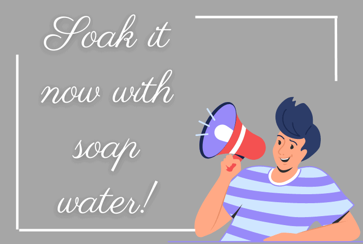 soak in soapy water