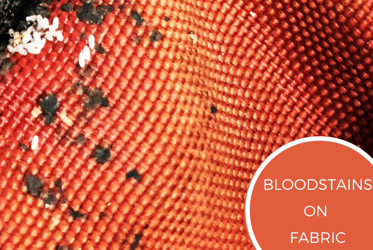 bloodstains on fabrics