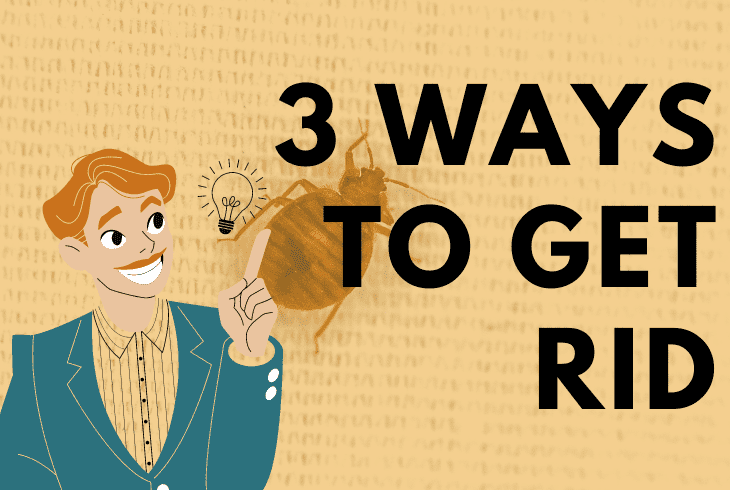 methods to get rid bedbugs