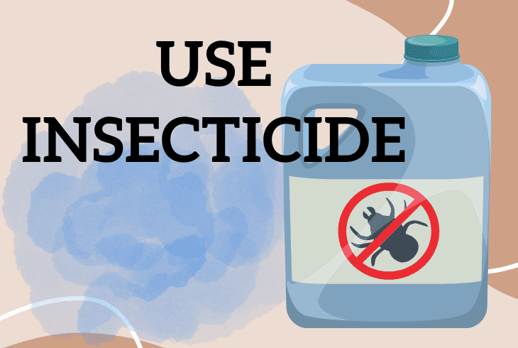 homemade insecticide
