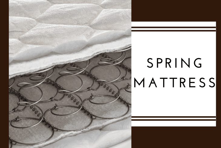 the spring mattress