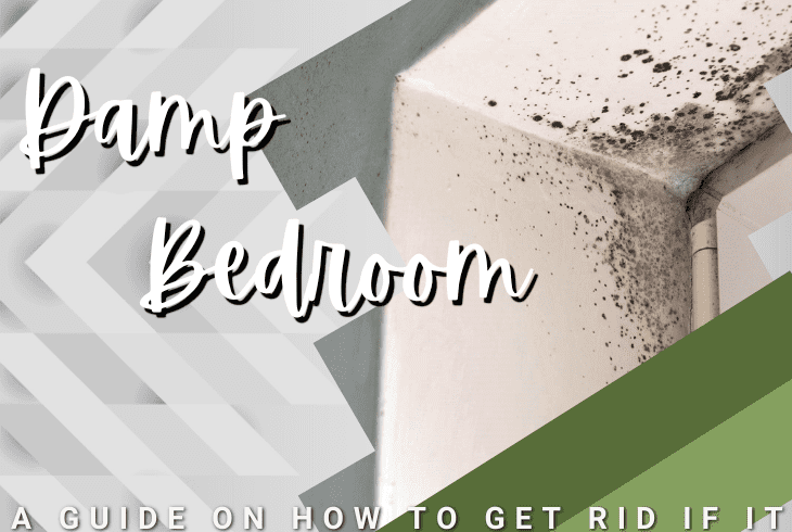 how to get rid of damp in bedroom