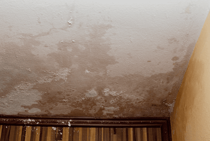 rid of damp in bedroom