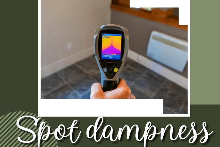spot damp in bedroom