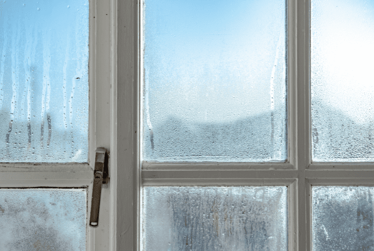 condensation on window